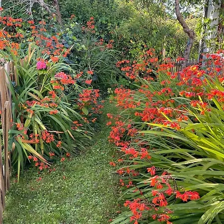 La Casina De Inesita 度假居 *