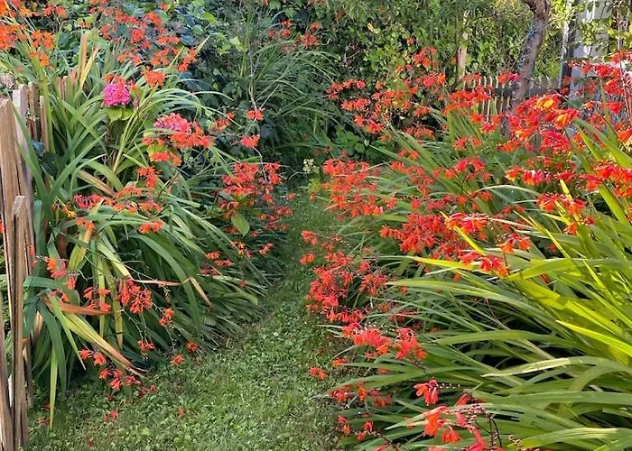 La Casina De Inesita Сasa de vacaciones *